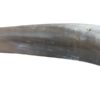 Ochsenhorn Hirschruf