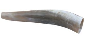 Ochsenhorn Hirschruf