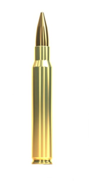 .30-06 Sellier & Bellot Vollmantel 11.7g. / 180gr.