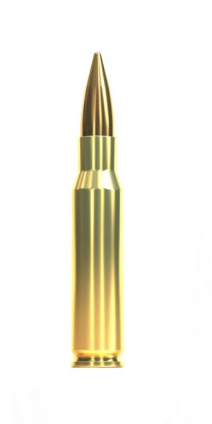 .308 Win. Sellier & Bellot FMJ 147gr.
