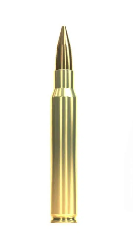 .30-06 Sellier & Bellot FMJ 180grs. .30-06 Sellier & Bellot FMJ 180grs.