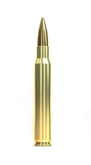 .30-06 Sellier & Bellot FMJ 124grs.