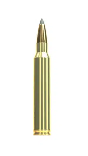 .300 Win. Mag. Sellier & Bellot SBT GameKing 200grs.