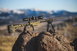 Savage Axis II Precision, .308 Win.