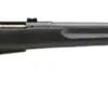 Savage 25 Walking Varminter .17 Hornet