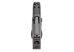 Sig Sauer P365 AXG Legion