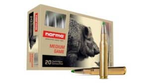 .30-06 Norma Ecostrike 10.7g / 165grs.