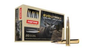 .30-06 Norma Evostrike 9.0g / 139grs.