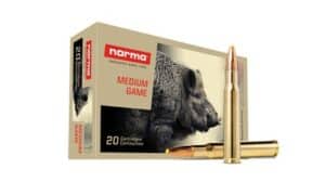 .30-06 Norma Plastic Point 11.7g / 180grs.