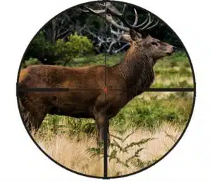 Steiner Ranger 10 1-10x24, 4A-I