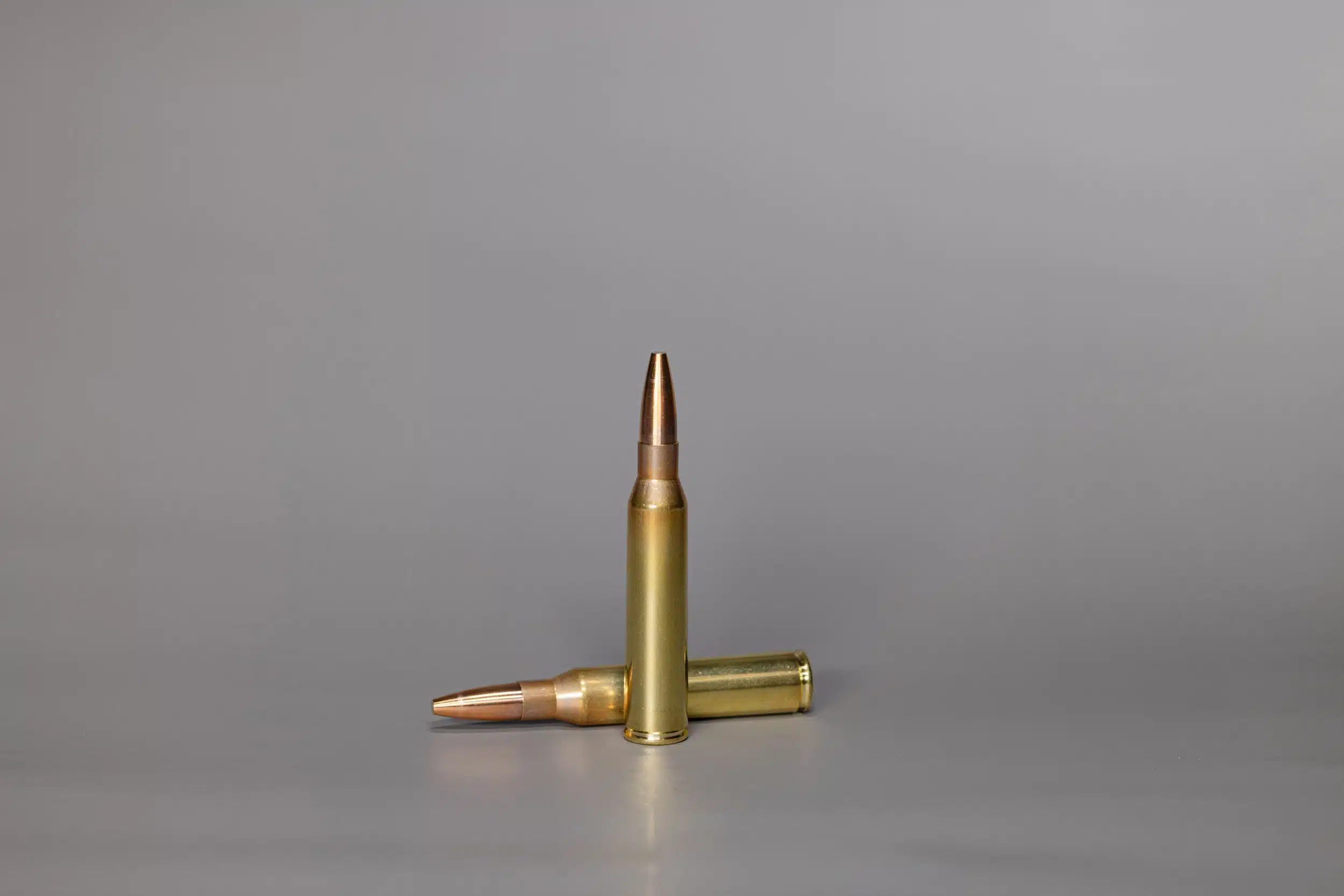 338+LM+SWISS+P+Tactical