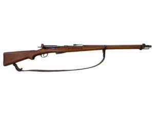 WF Bern Infanteriegewehr IG11 - GP11 - Occasion